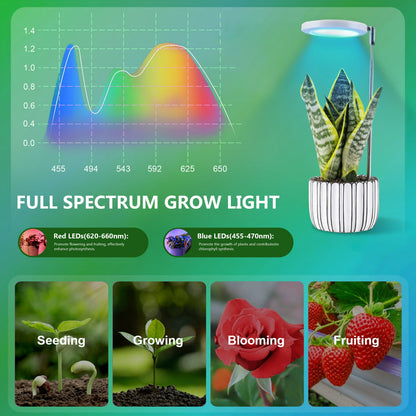 ORFELD 4PCS LED Growing Light for Indoor Plants, Full Spectrum Desk Growth Lamp & Height Adjustable, Plant Grow Light 9 Dimmable Brightness for Small Plants，White