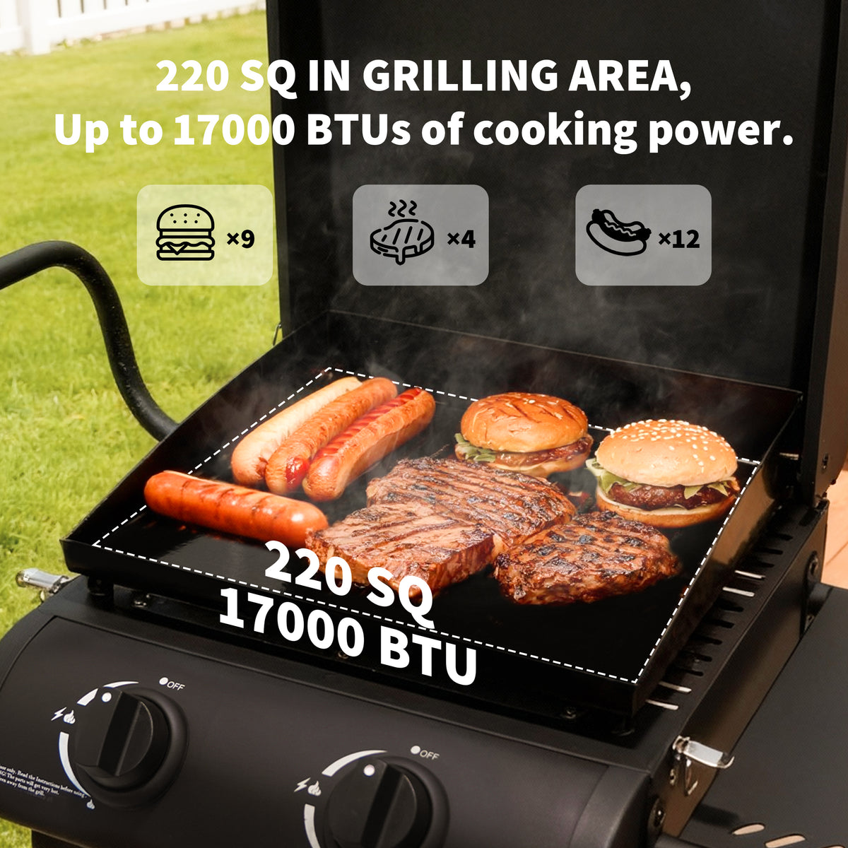 Hvoonc Portable Propane Gas Grill,17000BTUs Foldable Barbecue Grill with 2-Burner,Outdoor Grill for Backyard, Camping and Picnics,Black