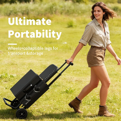 Hvoonc Portable Propane Gas Grill,17000BTUs Foldable Barbecue Grill with 2-Burner,Outdoor Grill for Backyard, Camping and Picnics,Black
